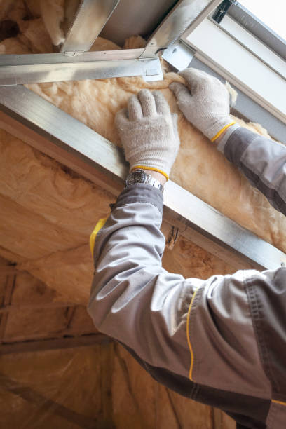 Reliable Grove Hill, AL Insulation Contractor Solutions