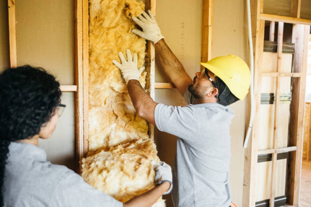 Insulation Inspection Services in Grove Hill, AL