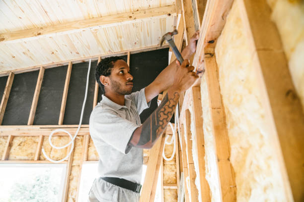 Best Insulation Replacement Services  in Grove Hill, AL